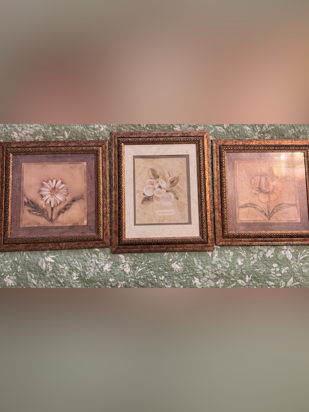 Framed Floral Wall Art Set Brown & Gold